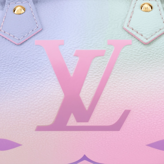 Louis Vuitton  Papillon BB