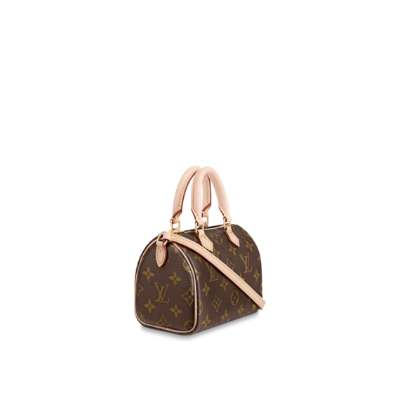 Louis Vuitton Nano Speedy