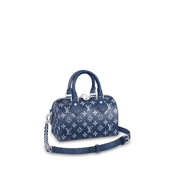 Louis Vuitton Speedy 20