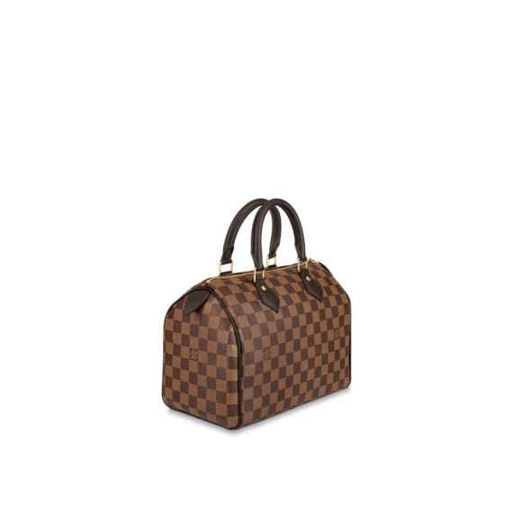 Louis Vuitton Speedy 25