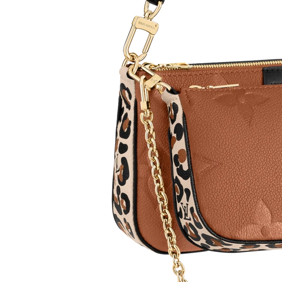 Louis Vuitton Multi Pochette Accessoires