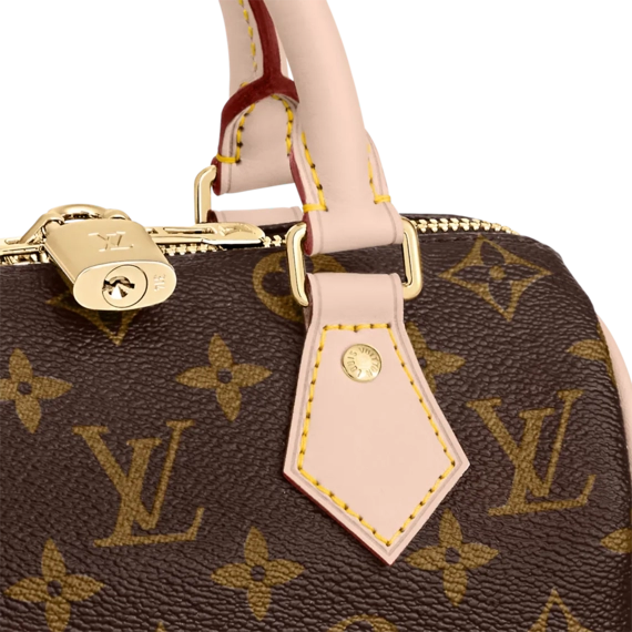 Louis Vuitton Speedy 20