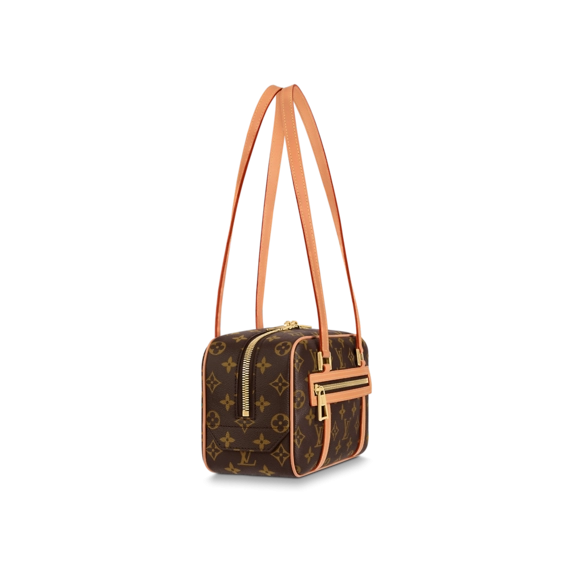 Louis Vuitton Cite bag Gold