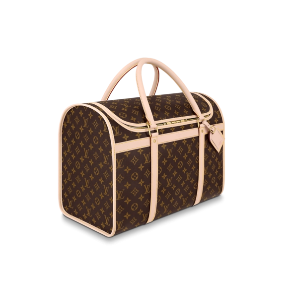 Louis Vuitton Dog Bag