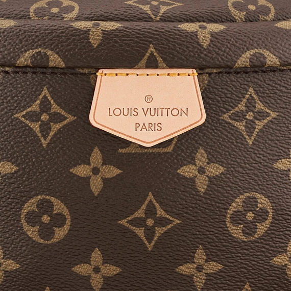 Louis Vuitton Bumbag