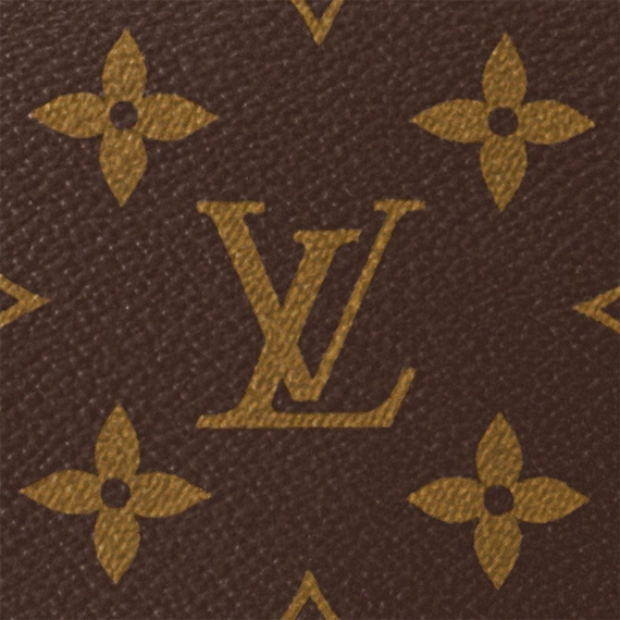 Louis Vuitton Loop Hobo