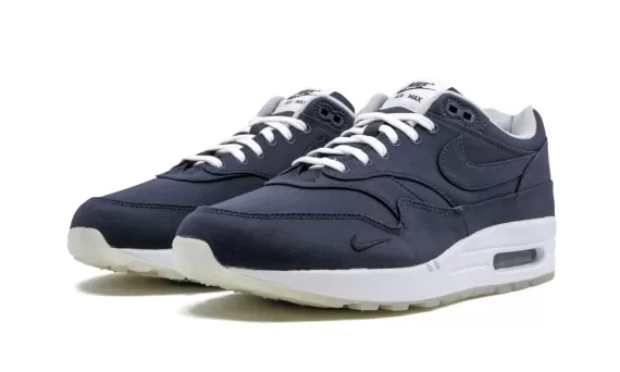 Air Max 1 - DSM Brave Blue